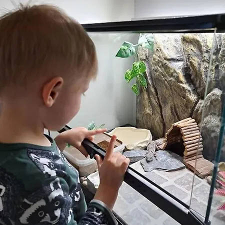 Kaunis Kaksio Laehellae Rautatieasemaa Apartment Hameenlinna